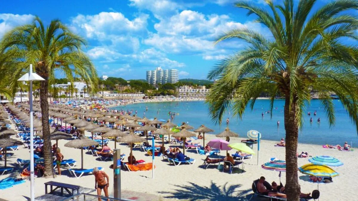 Playa de Paguera rodeada de pinos